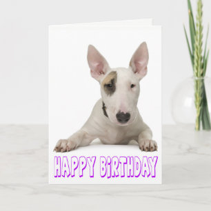 Gelukkige Verjaardag Bull Terrier Puppy Hond Kaart