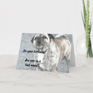 Gelukkige verjaardag Bulldog Kaart