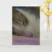 Gelukkige Verjaardag Christelijke Kaart Cat (Gele Bloem)