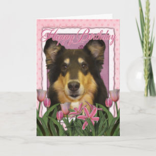 Gelukkige Verjaardag - Collie - Caroline Kaart