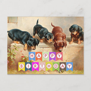 Gelukkige verjaardag, dachshondpuppy's, briefkaart