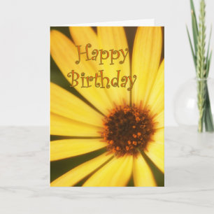 Gelukkige verjaardag Daisy Kaart