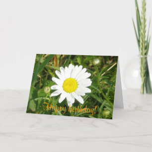 Gelukkige verjaardag! Daisy Kaart
