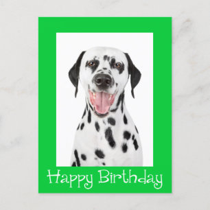 Gelukkige Verjaardag Dalmatische Puppy Dog Post Ka Briefkaart