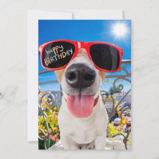 Gelukkige Verjaardag Dawg Hond in Zonnebril Feestdagenkaart