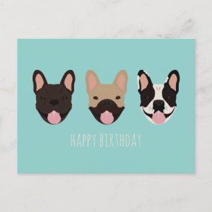 Gelukkige Verjaardag Franse Bulldog Teal Briefkaart