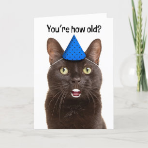Gelukkige Verjaardag Geschokte Kat Met Menselijke Feestdagen Kaart