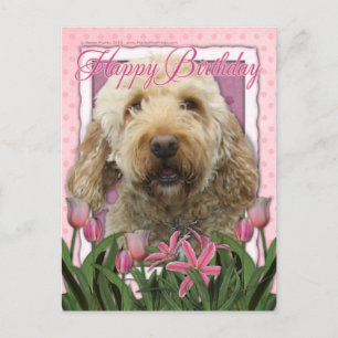Gelukkige Verjaardag - Goldendoodle Briefkaart