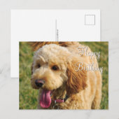 Gelukkige verjaardag Goldendoodle hond Briefkaart (Voorkant / Achterkant)