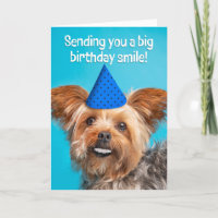 Gelukkige Verjaardag Grappige Yorkie Hond Met Tand