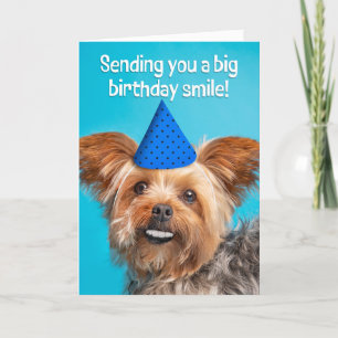 Gelukkige Verjaardag Grappige Yorkie Hond Met Tand Feestdagen Kaart