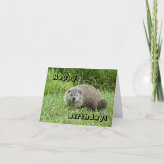Gelukkige Verjaardag groundhog Kaart