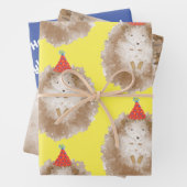 Gelukkige verjaardag Hedgehog Inpakpapier Vel (In situ)