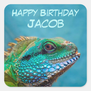 Gelukkige Verjaardag Iguana Vierkante Sticker