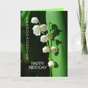 Gelukkige verjaardag kleindochter Lily van de Vall Kaart