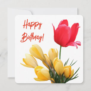 Gelukkige verjaardag kleurrijke rode tulp gele kro feestdagenkaart