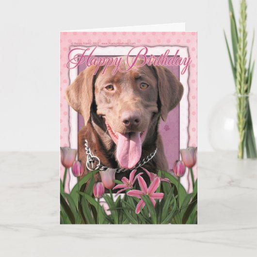 Gelukkige Verjaardag - Labrador - Chocolade Kaart (Voorkant)