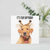 Gelukkige Verjaardag Leuke Lab Puppy In Giraffe Or Feestdagenkaart (Staand voorkant)