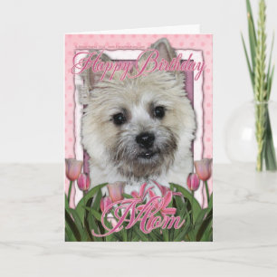 Gelukkige Verjaardag Mam - Cairn Terrier - Teddy B Kaart