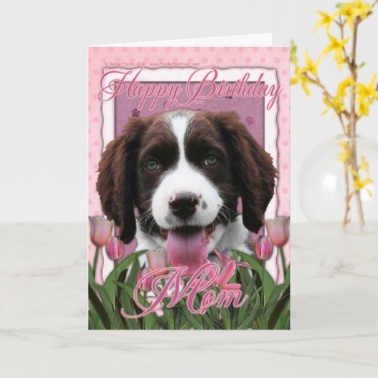 Gelukkige Verjaardag Mam - Engels Springer Spaniel Kaart (Gele Bloem)