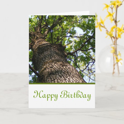 Gelukkige Verjaardag met uitzicht die omhoog een Kaart (Gele Bloem)