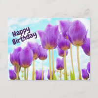 Gelukkige Verjaardag Mooie Paarse Tulpen