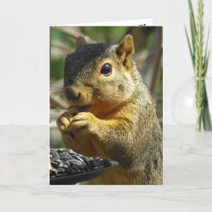 Gelukkige Verjaardag Nutty Friend Funny Squirrel Kaart