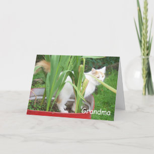 GELUKKIGE VERJAARDAG OMA KAART