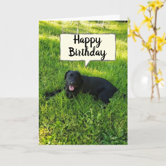 GELUKKIGE VERJAARDAG OMDAT JE FAV-MEDEWERKER "TELT KAART (Gele Bloem)