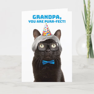 Gelukkige Verjaardag Opa Oud Man Kat Humor Feestdagen Kaart