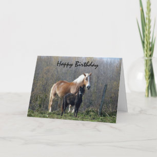 Gelukkige Verjaardag Paarden Kaart