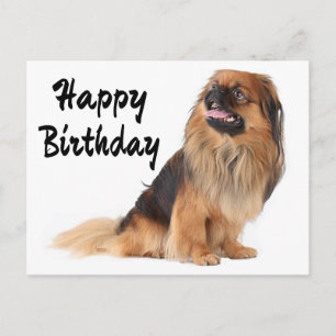 Gelukkige verjaardag Pekingees Puppies Hond Briefkaart