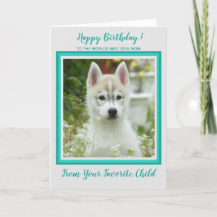 Gelukkige Verjaardag - Pet Photo - Werelden Beste  Kaart