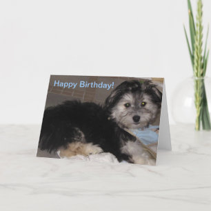 Gelukkige Verjaardag Puppy Havanese Redding Kaart