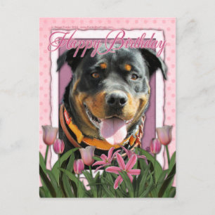 Gelukkige Verjaardag - Rottweiler - SambaParTi Briefkaart