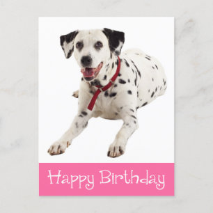 Gelukkige Verjaardag Schattigee Dalmatische Puppy Briefkaart