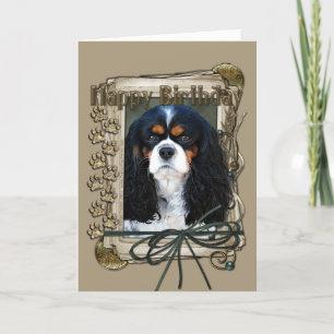 Gelukkige Verjaardag - Stone Paws - Cavalier Kaart