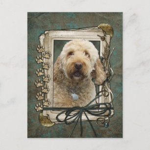Gelukkige Verjaardag - Stone Paws - GoldenDoodle Briefkaart
