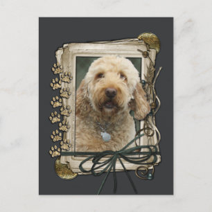 Gelukkige Verjaardag - Stone Paws - GoldenDoodle Briefkaart