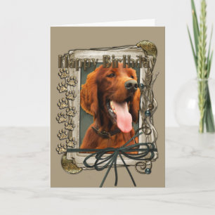 Gelukkige Verjaardag - Stone Paws - Ierse Setter Kaart
