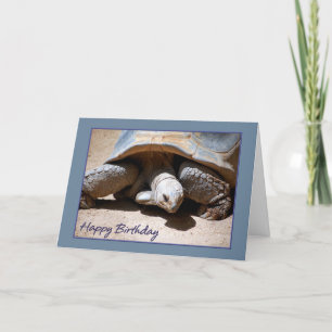 Gelukkige Verjaardag Tortoise Kaart