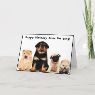 Gelukkige verjaardag van de bende Puppies wenskaar Kaart