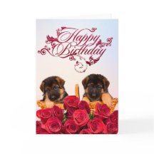 Gelukkige verjaardag van de Duitse herder