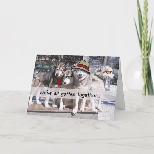 Gelukkige Verjaardag van de Groep, Huskies Kaart (Voorkant)