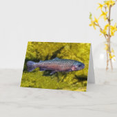 Gelukkige verjaardag van de oude forel kaart (Gele Bloem)