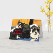 Gelukkige verjaardag van uw kat Collectie - Kaart (Gele Bloem)