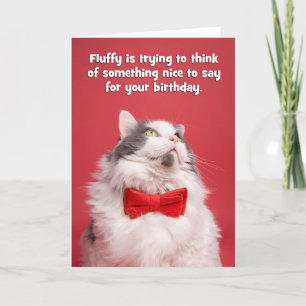 Gelukkige verjaardag voor iedereen die een kat in feestdagen kaart