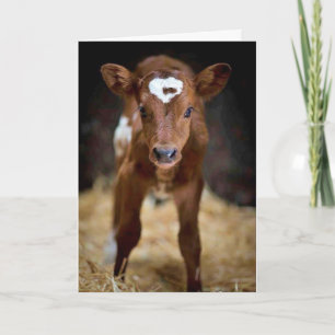 "GELUKKIGE VERJAARDAG" VOOR MIJN **BROER** KAART