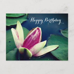 Gelukkige Verjaardag Water Lilly Poscard Briefkaart