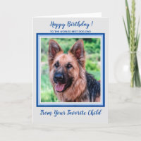 Gelukkige Verjaardag - Worlds Best Dog Dad - Foto